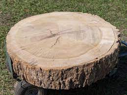 Any cracks and holes will just make the table more unique and interesting. How To Build A Stump Coffee Table How Tos Diy