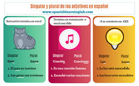 Varilla delgada que sirve para tocar algunos instrumentos de cuerda, como el violín. Como Formar El Plural En Espanol Reglas Basicas Y Ejemplos Spanishlearninglab