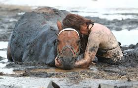 race against tide for horse