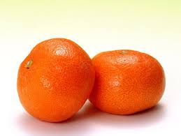 Image result for Citrus reticulata
