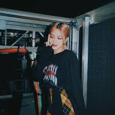 You can also upload and share your favorite rose blackpink aesthetic wallpapers. Dmfart On Twitter Aesthetic Pack Rose Blackpink Edit By Dmfart03 Retw Or Fav If You Want Save Or Use It Ygofficialblink Rose Roseblackpink Blackpink Roseaesthetic Aestheticpack Aesthetic Ppheader