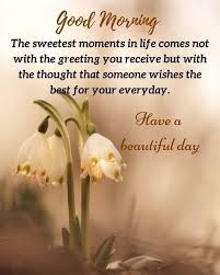 Amazing Collection Of Good Morning Quotes Images And Messages In 2020 Morning Wishes Quotes Good Morning Image Quotes Beautiful Morning Quotes