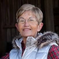 Bonnie Jean Pittz Obituary (2024)