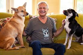 Several of these breeds are facing extinction. Interview Nureongi Us Producer Digs Deep Into Korea S Dog Meat Industry With Unbiased Lens