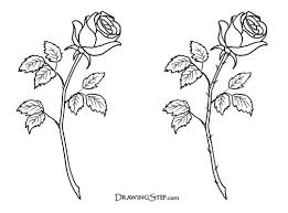 Simple Rose Sketches Trending Rose Drawing Simple Ideas On Pinterest Easy Rose Download Rose Drawing Simple Roses Drawing Rose Tattoos