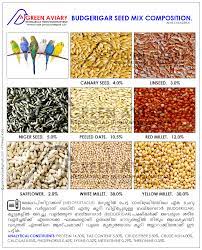 Akhilchandrika Budgerigar Seed Mix Composition Budgerigar Budgies Bird Budgie Food