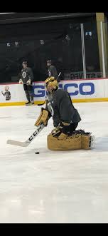 Chloé fleury's multidisciplinary visual communications. Jesse Granger On Twitter Marc Andre Fleury Is Back In His Solid Gold Pads Today And They Look Significantly Better With His Brand New Shiny Gold Mask Vegasborn Https T Co Aogs7upgg5