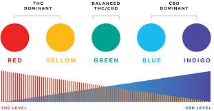 Blue inhaler with green cap. Vireo Spectrum Vireo Health Of New York