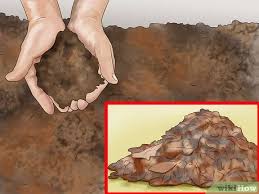 How to make it stop. 3 Ways To Discourage Dogs From Pooping In Your Garden Wikihow