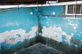 That's where the total basement finishing (tbf) wall solutions excel. Fixing A Wet Basement Greenbuildingadvisor