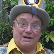 Hart local election: The 4 candidates in Fleet Central