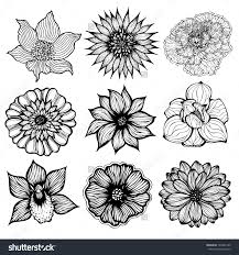 We did not find results for: Flower Illustration Black And White Download Illustration 2020