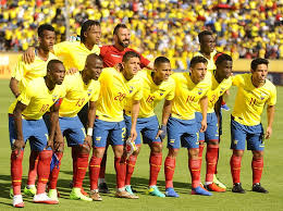 Pese al duro panorama que le depara a la tricolor, el toño apuntó que no debemos. Enfrentamientos Entre Ecuador Y Brasil Madre Libertad Ecuador