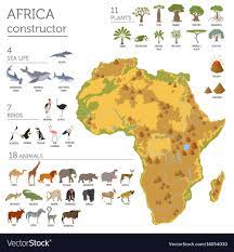 Flat Africa Flora And Fauna Map Constructor Elements Animals Birds And Sea Life Isolated On White Big Set Build Infographic Map Africa Montessori Geography