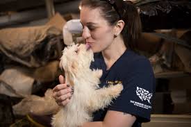 Our facility has cavapoo puppies for sale that are ready. The Hsus Helps Rescue 150 Dogs Cats Goats From North Carolina Puppy Mill A Humane World