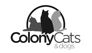In addition to calling first, consider using virtual care options such as telehealth or my healthevet secure messaging. Pets For Adoption At Colony Cats Dogs In Dublin Oh Petfinder