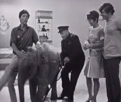 Image result for Joey Deacon