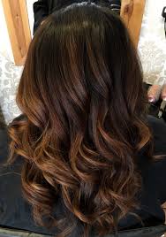 Rainbow streaks on dark hair. Dark Chocolate And Chestnut Ombre Chestnut Hair Color Light Hair Color Chestnut Hair