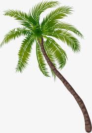 If you like, you can download pictures in icon format or directly in png image format. Transparent Coconut Tree Png Images Coconut Tree Drawing Watercolor Trees Tree Images