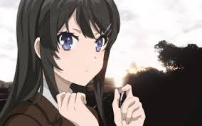 Perfect for your desktop pc, phone, laptop, . 90 Mai Sakurajima Hd Wallpapers Background Images