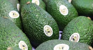 You know how to make it. Where To Find And Buy California Avocados
