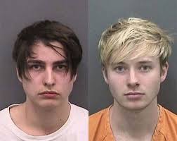 Evie browning (evieb0011)