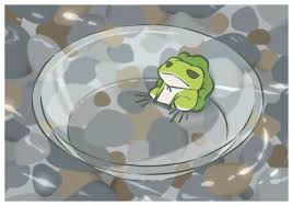 we re floating down the river in a big glass bowl frog art cute frogs frog