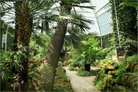 Tatton Park Knutsford Cheshire England Tattonpark Org Uk Fern Aficionados Will Marvel At The New Zealand A Victorian Gardens Garden Design Garden Styles