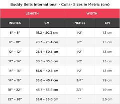 Buddy Belts Elite Id Collars Blue Jean