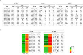 Shhh.i love you tidak mengecewakan walaupun sebenarnya n ada different expectation because of the book cover. Pseudomonas Fluorescens F113 Type Vi Secretion Systems Mediate Bacterial Killing And Adaption To The Rhizosphere Microbiome Scientific Reports