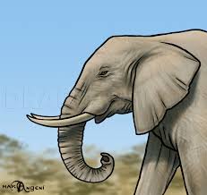 Follow along to learn how to draw this cute, cartoon elephant, animal step by step easy. How To Draw Elephants Step By Step Drawing Guide By Makangeni Dragoart Com