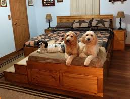 Maybe you would like to learn more about one of these? This Company Makes Custom Wooden Bed Frames With Built In Pet Beds Laptrinhx News