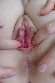 Heres my vagina nudes in vagina | Onlynudes.org