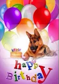 Happy Birthday Wishes In German Pin By The German Shepherd On Pet Birthday Happy Birthday Greetings Happy Birthday Images Happy Birthday Dog