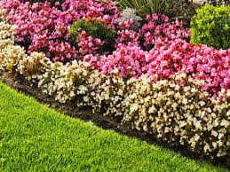 Stone, concrete, brick, wood, tiles, metal, plates, glass, gabion, logs, and all kinds of things recyclable items. 50 Great Garden Edging Ideas For Your Backyard Plants And Diy Designs