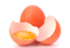 ovos