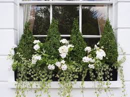 There are a wide variety of styles out there; How To Use Topiary In A Modern Country Garden Window Box Flowers Window Box Plants Window Planters