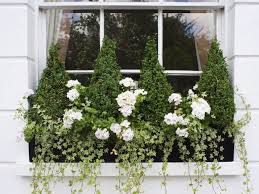 Once i started researching it, i found that there are dozens and dozens of ways to display your houseplants, and especially your succulents, rather than just sticking them in a boring pot! How To Use Topiary In A Modern Country Garden Window Box Flowers Window Box Plants Window Planters