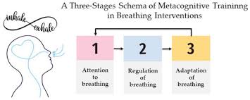 Image result for training effect schema