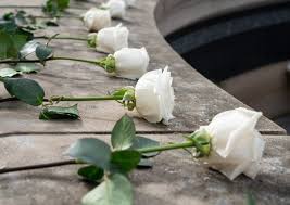 Maybe you would like to learn more about one of these? University Names 2021 22 Remembrance Scholars Syracuse University News