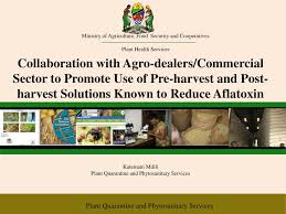 To ensure that food availability at all levels and at all times. Ppt Ministry Of Agriculture Food Security And Cooperatives Plant Health Services Powerpoint Presentation Id 5118231