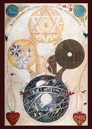 Image result for Behniaceae