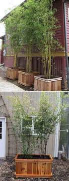 If you love gardening, but are feeling restricted on your space and have held up on making plans because of it, these ideas are about to give you a reason why you need to get to work. Garden Ideas Using Bamboo Bamboo Garden