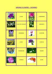 Check spelling or type a new query. English Worksheets Spring Flowers Domino