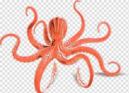 Octopus Cartoon Drawing Tentacle Royaltyfree Giant Pacific Octopus Silhouette Invertebrate Transparent Background Png Clipart Hiclipart ✓ free for commercial use ✓ high quality images. octopus cartoon drawing tentacle
