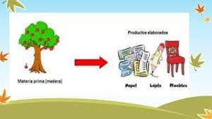 TRANSFORMACIÓN DE MATERIA PRIMA EN PRODUCTO TERMINADO