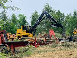 Browse 1 milton cat employment opportunities in maine on our job search engine. Mike Eastman Of Mb Eastman Runs A Tree Milton Cat Forestry Facebook