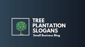 Slogans on tree plantation can motivate the people to plant more trees. Catchy Slogans On Tree Plantation Youtube