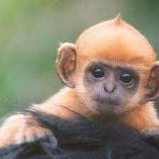 Vanessa Garcia (@Vanes63)