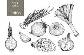 Jun 22, 2014 · bawang putih and bawang merah. 30 Seni Ideas Idea